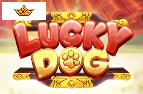 Lucky Dog